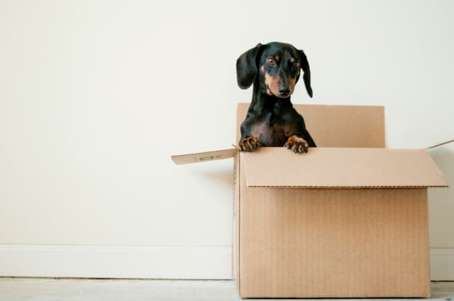 Overnight Moving Bag Tips