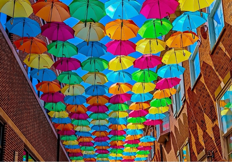 Top 10 Things to Do in Elmhurst This Summer (2026 Guide)